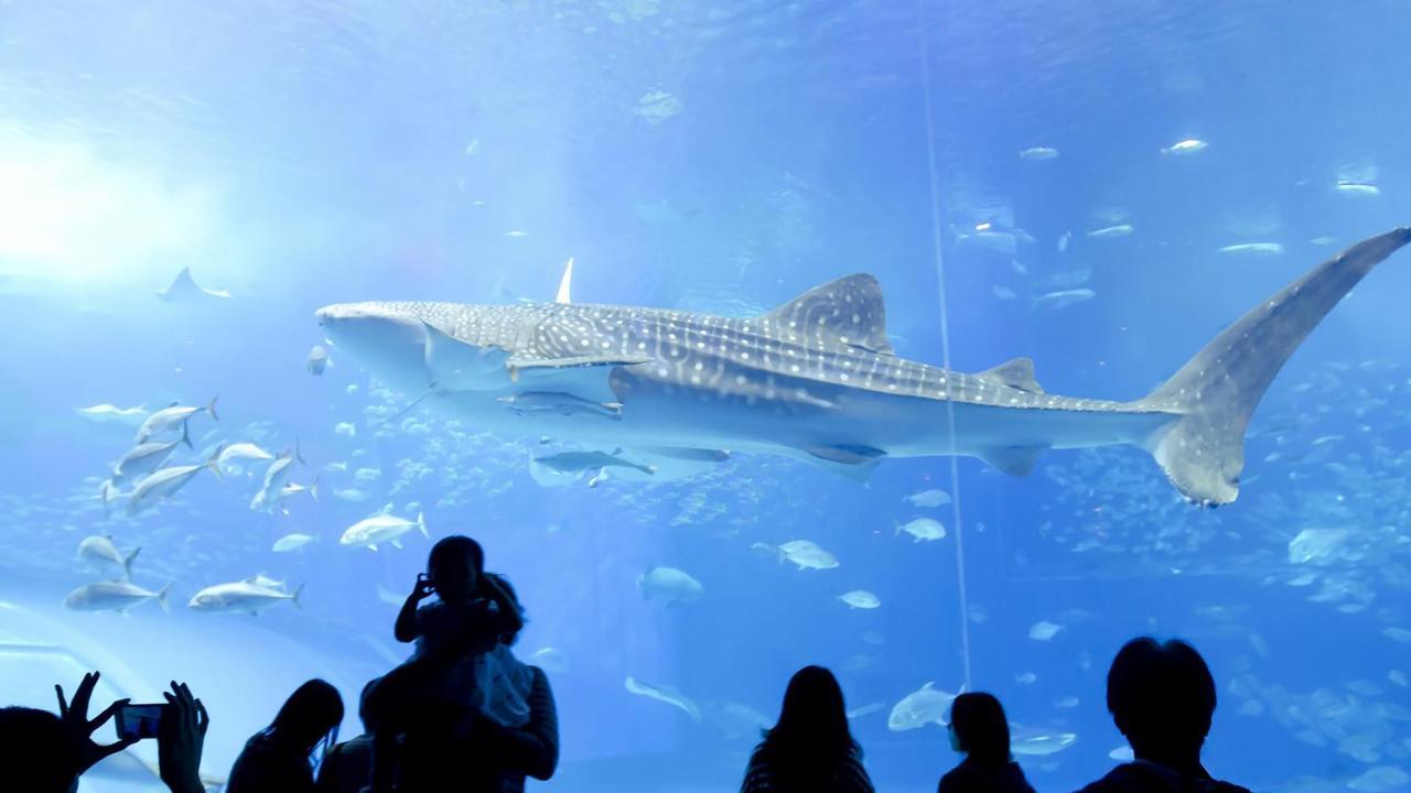 La Ohana～瀬底島～（2022年open） 沖縄市 エクステリア 写真