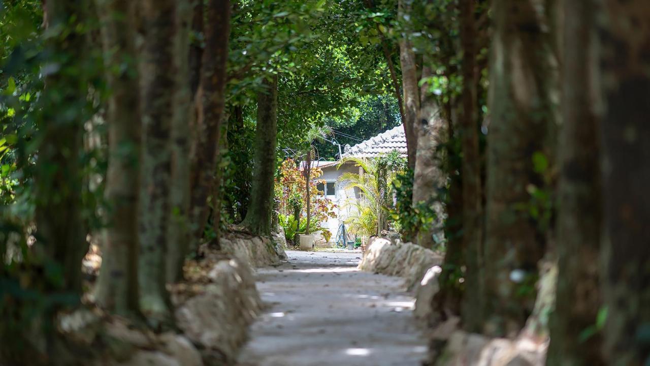 La Ohana～瀬底島～（2022年open） 沖縄市 エクステリア 写真